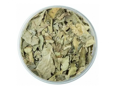 Каррі листя сушене 10 г CurryLeaves 10g