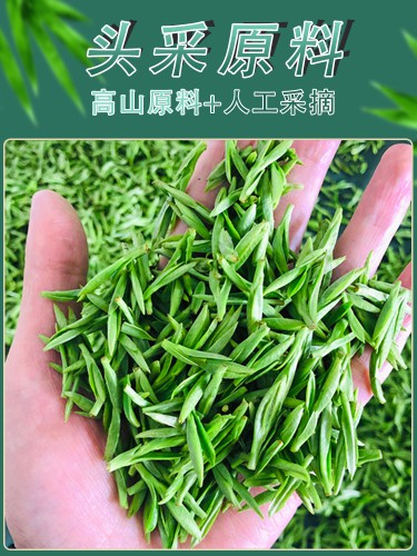 雀舌茶片特级茶叶峨眉山绿茶散装50g