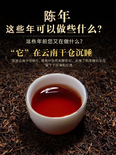 云南普洱茶熟茶茶叶宫廷熟茶散茶金芽特级陈年老茶勐海普洱茶熟茶 50g