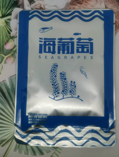 海葡萄即食盐渍新鲜海洋绿色蔬菜植物界的鱼子酱海藻草凉拌菜100g